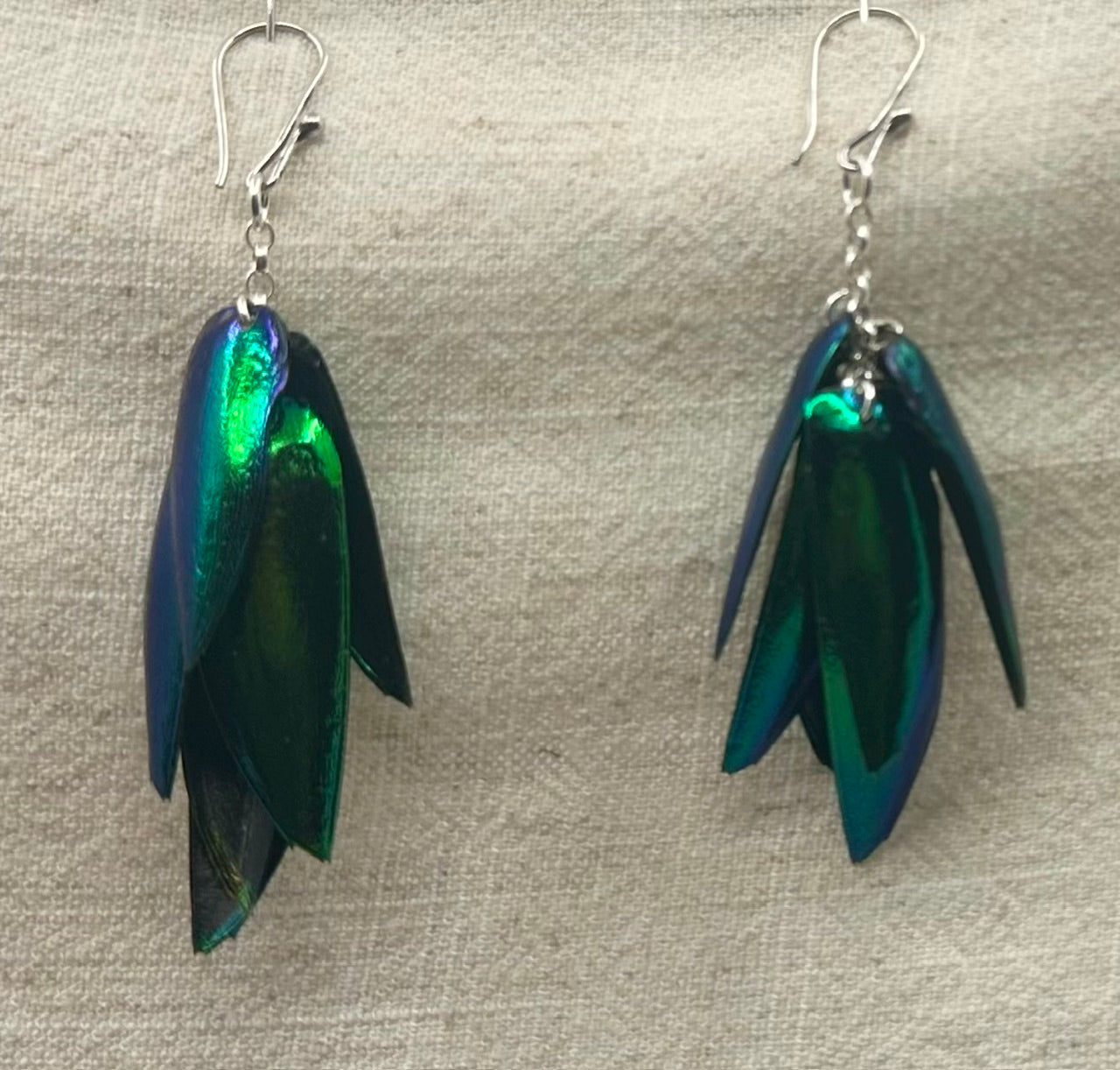 Jewelbeetle wing earrings